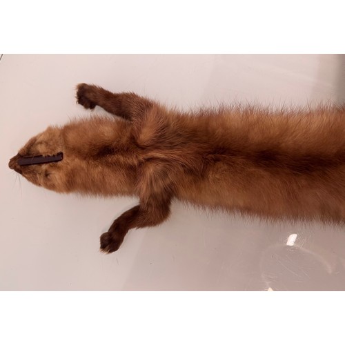 38 - Vintage fashion a fox fur stole.

This lot is available for in-house shipping