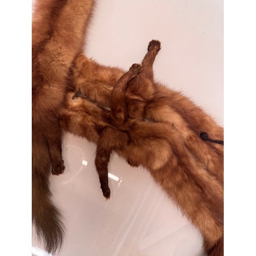 38 - Vintage fashion a fox fur stole.

This lot is available for in-house shipping