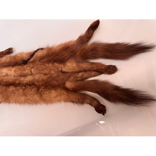 38 - Vintage fashion a fox fur stole.

This lot is available for in-house shipping