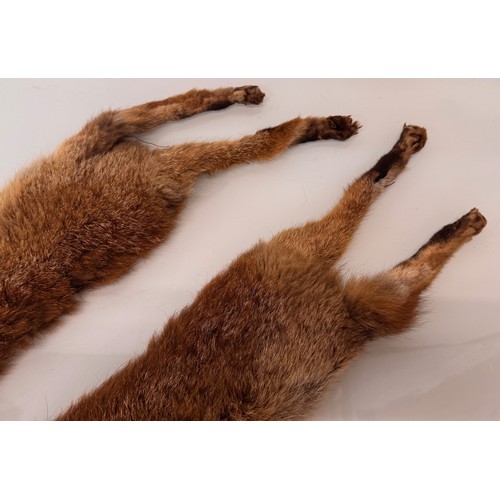 45 - Vintage fashion, a Fox fur stole.

This lot is available for in-house shipping