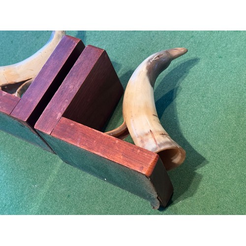 54 - Folk art book ends carved horn in the form of birds, each 18 cm tall.

This lot is available for in-... 