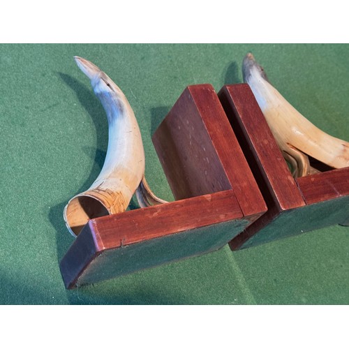 54 - Folk art book ends carved horn in the form of birds, each 18 cm tall.

This lot is available for in-... 