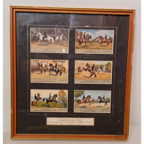 Lot 12        