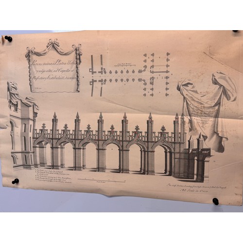 Lot 23        