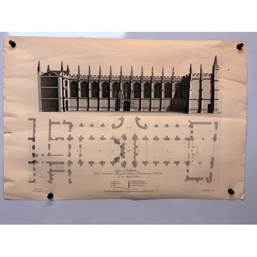 Lot 26        