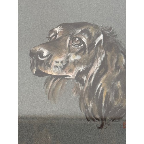 130 - Art, paintings, dogs, a framed signed pastel drawing of a spaniel, 26.5 cm x 33 cm.

This lot is ava... 