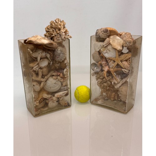 157 - A pair of rectangular form glass vases sacked with shells etc, each 25 cm tall.

This lot is availab... 