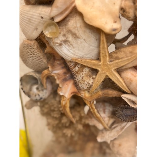 157 - A pair of rectangular form glass vases sacked with shells etc, each 25 cm tall.

This lot is availab... 