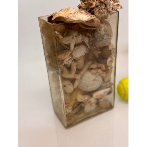 157 - A pair of rectangular form glass vases sacked with shells etc, each 25 cm tall.

This lot is availab... 