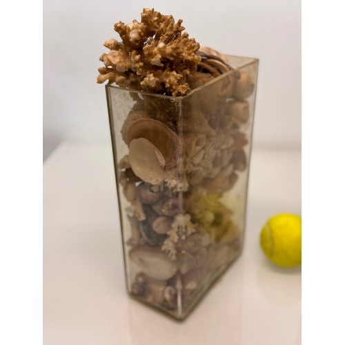 157 - A pair of rectangular form glass vases sacked with shells etc, each 25 cm tall.

This lot is availab... 