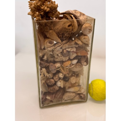 157 - A pair of rectangular form glass vases sacked with shells etc, each 25 cm tall.

This lot is availab... 