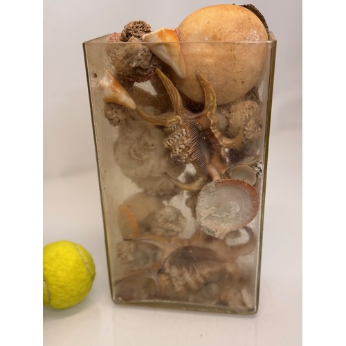 157 - A pair of rectangular form glass vases sacked with shells etc, each 25 cm tall.

This lot is availab... 