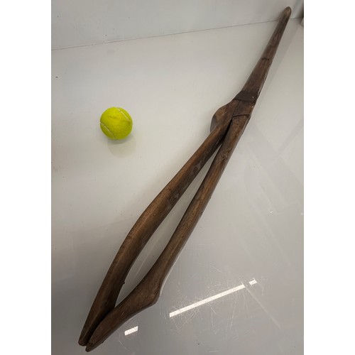 Lot 55        