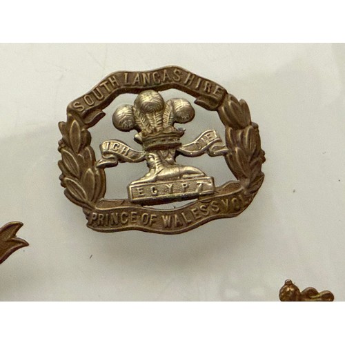Militaria, a collection of British army regimental cap badges. This lot ...