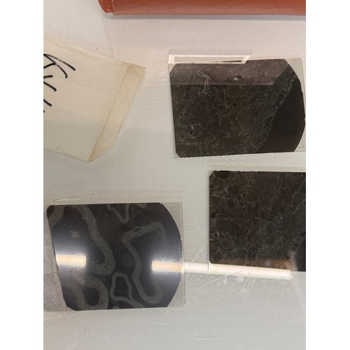 Scientific photography, a collection sample glass photo slides each is ...