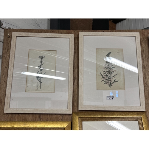 223 - Pr of Botanical Prints