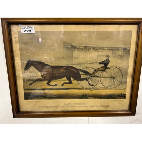 229 - Vintage Trotting Print