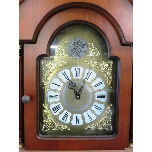 117 - TEMPUS FUGIT GRANDFATHER CLOCK