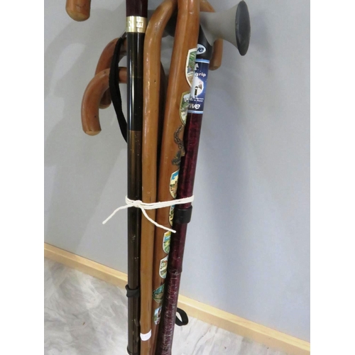 118 - SEVEN HUNTING & SHOOTING WALKING STICKS