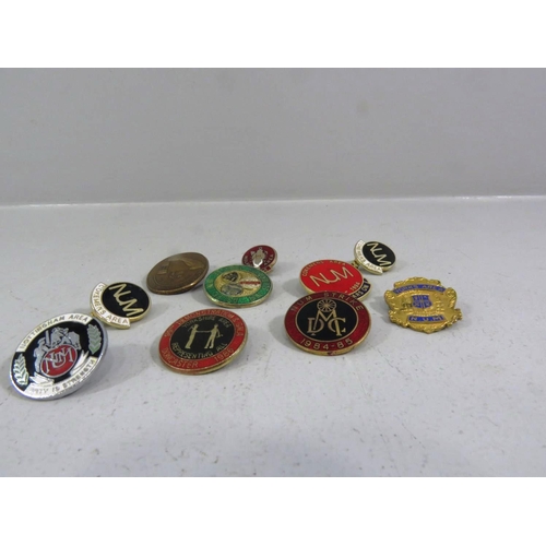 325 - TEN ASSORTED MINING BADGES