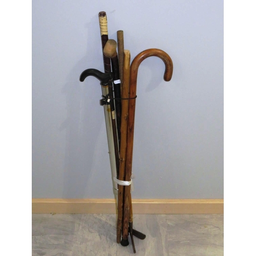 276 - SIX WALKING STICKS