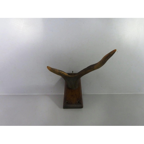 562 - DOUBLE TIP MOUNTED ANTLER COAT RACK