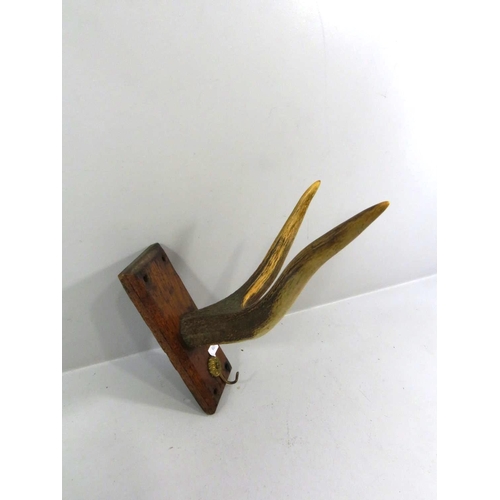 562 - DOUBLE TIP MOUNTED ANTLER COAT RACK