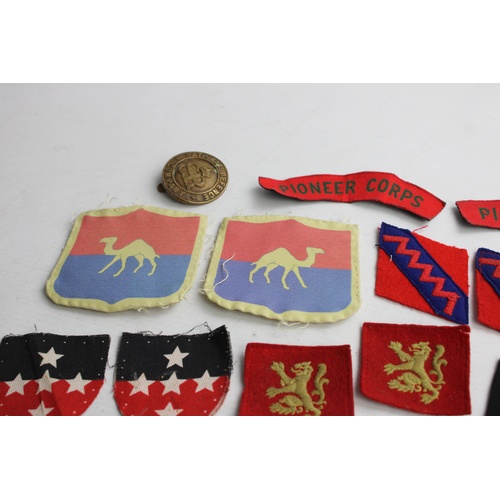 160 - 14 x Vintage MILITARY Cloth & Metal BADGES Inc Printed Shoulder Titles, Sleeve