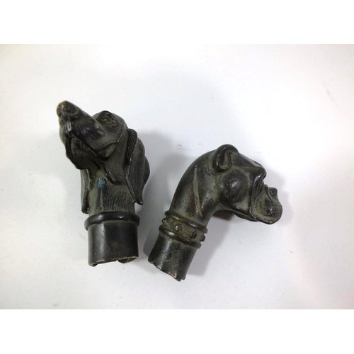 197 - TWO BRONZE DOG WALKING STICK HEADS