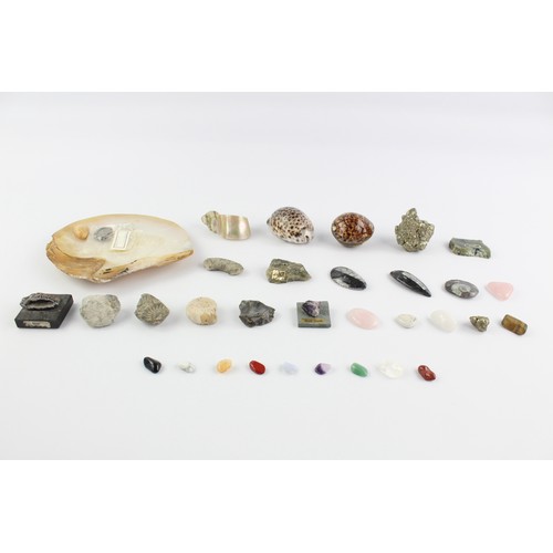 4 - 34 x Shells, Fossils & Raw Gemstones Inc. Jade, Rose Quartz, Pyrite, Etc