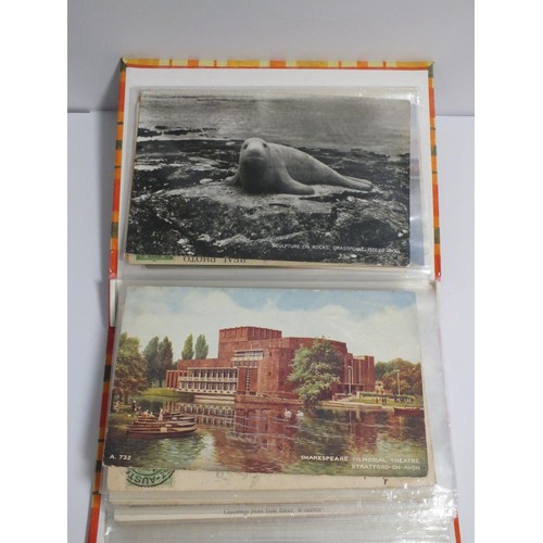 380 - ALBUM OF WATER CREATURE POSTCARDS