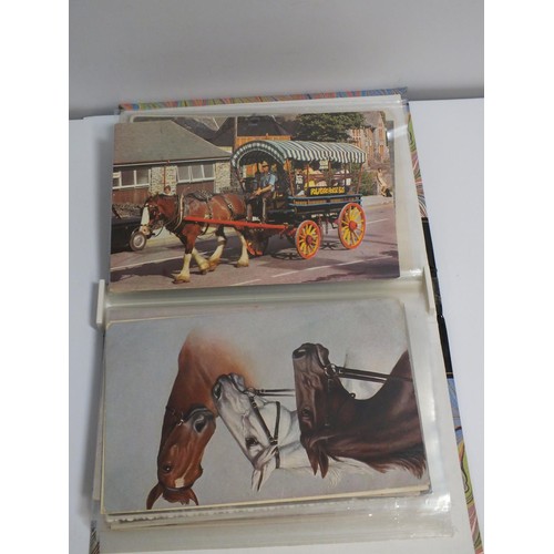 381 - ALBUM OF HORSE POSTCARDS