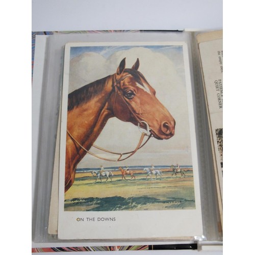 381 - ALBUM OF HORSE POSTCARDS