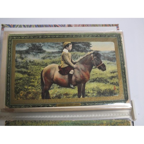 381 - ALBUM OF HORSE POSTCARDS