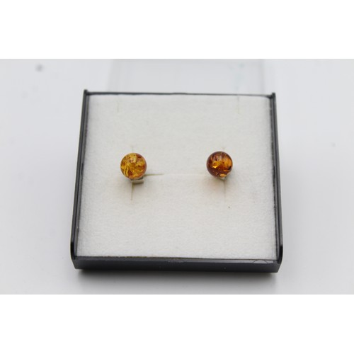 296 - Polished Amber Stud Earrings