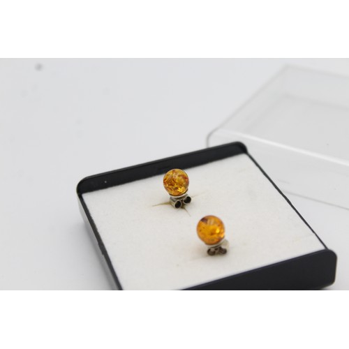 296 - Polished Amber Stud Earrings