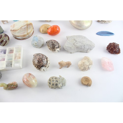 269 - Job Lot of Polished & Raw GEMSTONE ITEMS & CRYSTALS Inc Fossils, Shells Etc