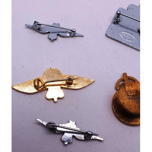 177 - TEN COLLECTABLE BADGES INCLUDING RAF