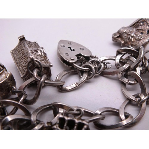 253 - SILVER CHARM BRACELET WITH NINE SILVER CHARMS