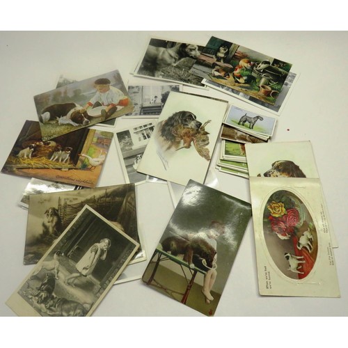 505 - COLLECITON OF 50 DOG CARDS & PHOTOS