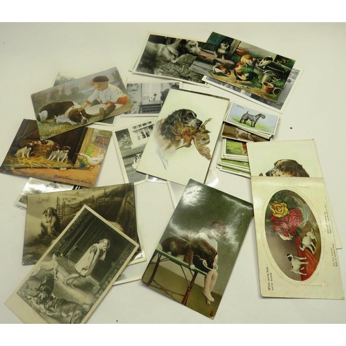 505 - COLLECITON OF 50 DOG CARDS & PHOTOS