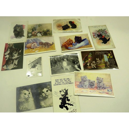 506 - COLLECITON OF 25 CAT POSTCARDS & PHOTOS