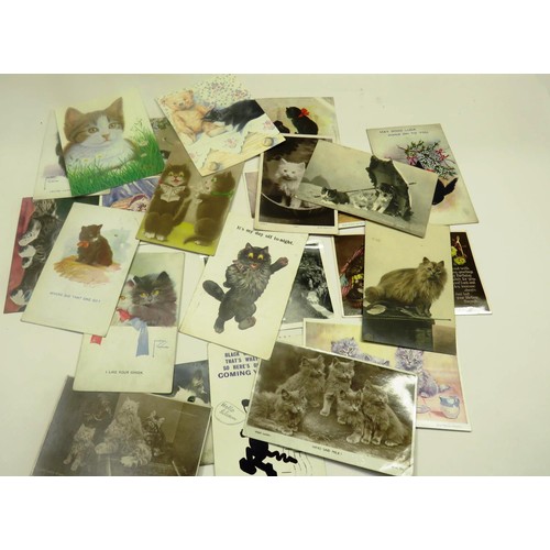 506 - COLLECITON OF 25 CAT POSTCARDS & PHOTOS