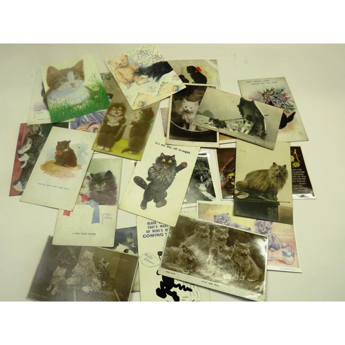 506 - COLLECITON OF 25 CAT POSTCARDS & PHOTOS