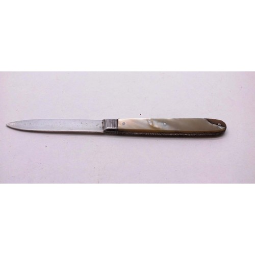 501 - STERLING SILVER AND MOTHER OF PEARL FRUITKNIFE SHEFFIELD 1895