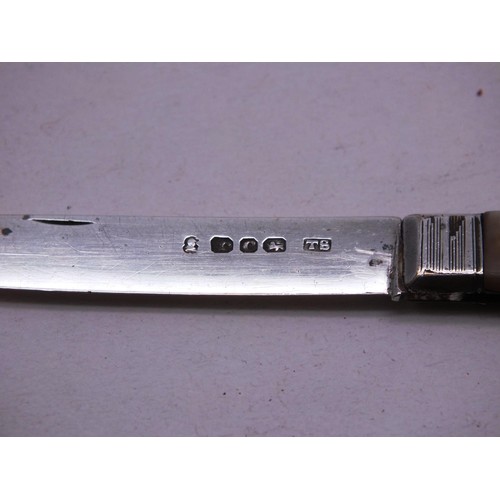 501 - STERLING SILVER AND MOTHER OF PEARL FRUITKNIFE SHEFFIELD 1895