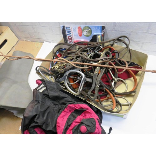 281 - JOBLOT INCLUDES WHIP, REINS, BITS ETC