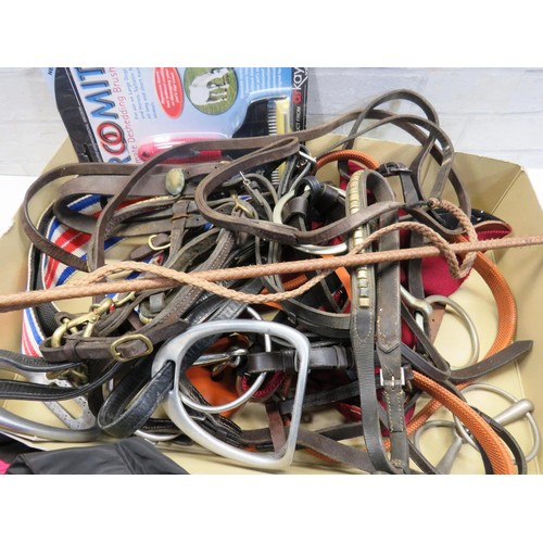 281 - JOBLOT INCLUDES WHIP, REINS, BITS ETC