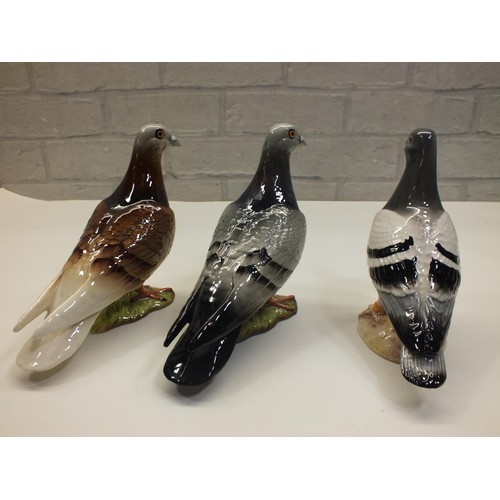 462 - THREE BESWICK PIGEONS