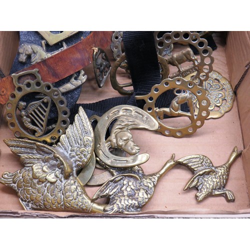 75 - HORSE BRASSES AND SET OF THREE GRADUATING BRASS DUCKS